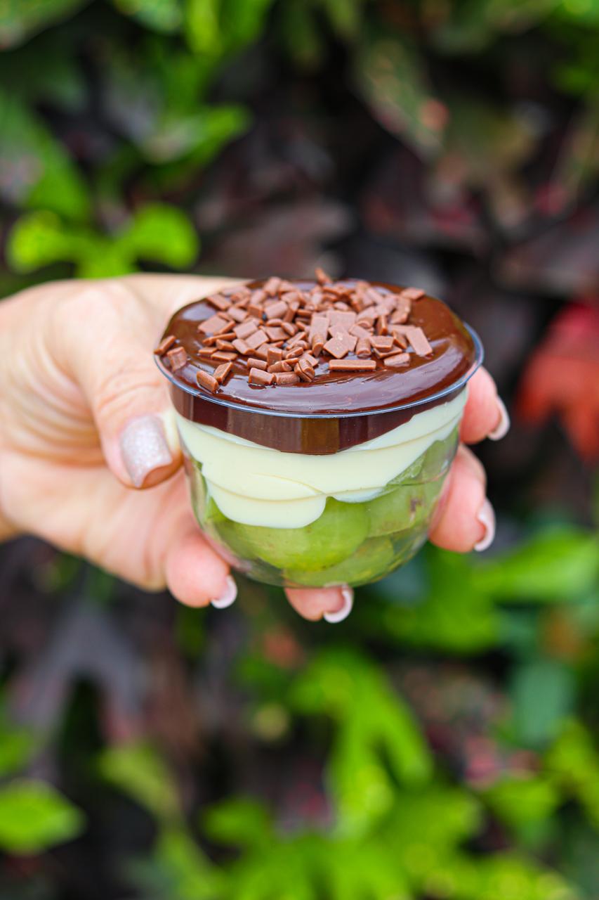 Bombom de Uva Fit pronto no pote